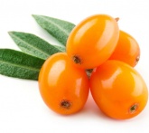 Olivello spinoso - cura delle piante da frutta