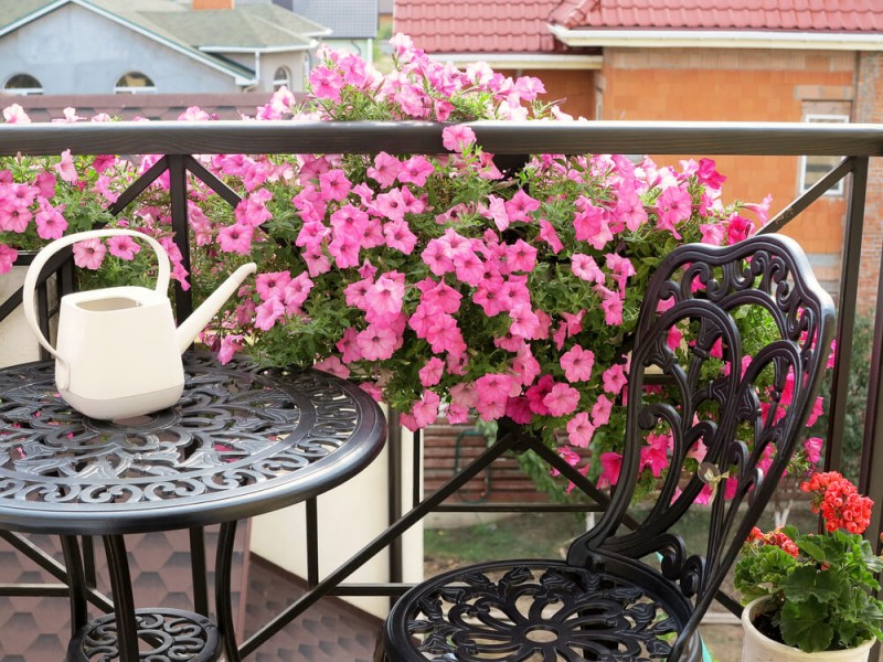Prenditi cura delle ornamentali sul balcone