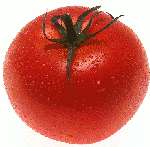 Pomodoro