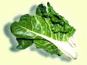 Bietola