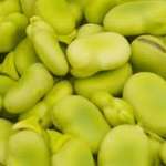 Fava