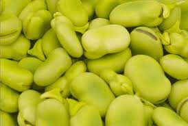 Fava
