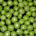 Pisello