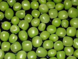 Pisello