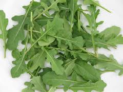 Rucola