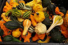Zucca ornamentale