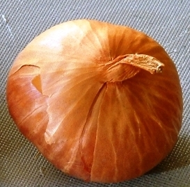 Scalogno