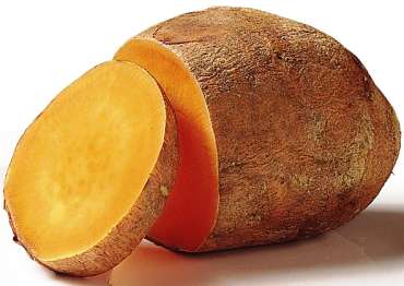 Patata americana
