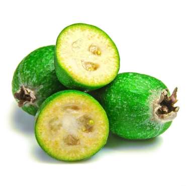 Feijoa
