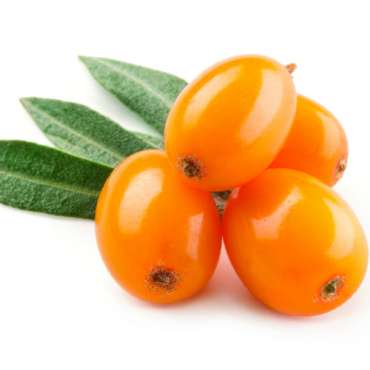 Olivello Spinoso