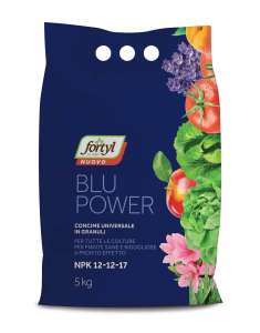 FORTYL NUOVO BLUE POWER 5Kg