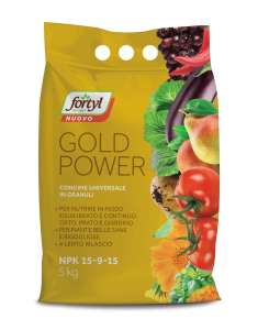 FORTYL NUOVO GOLD POWER 5Kg