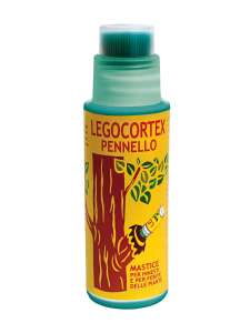 LEGOCORTEX